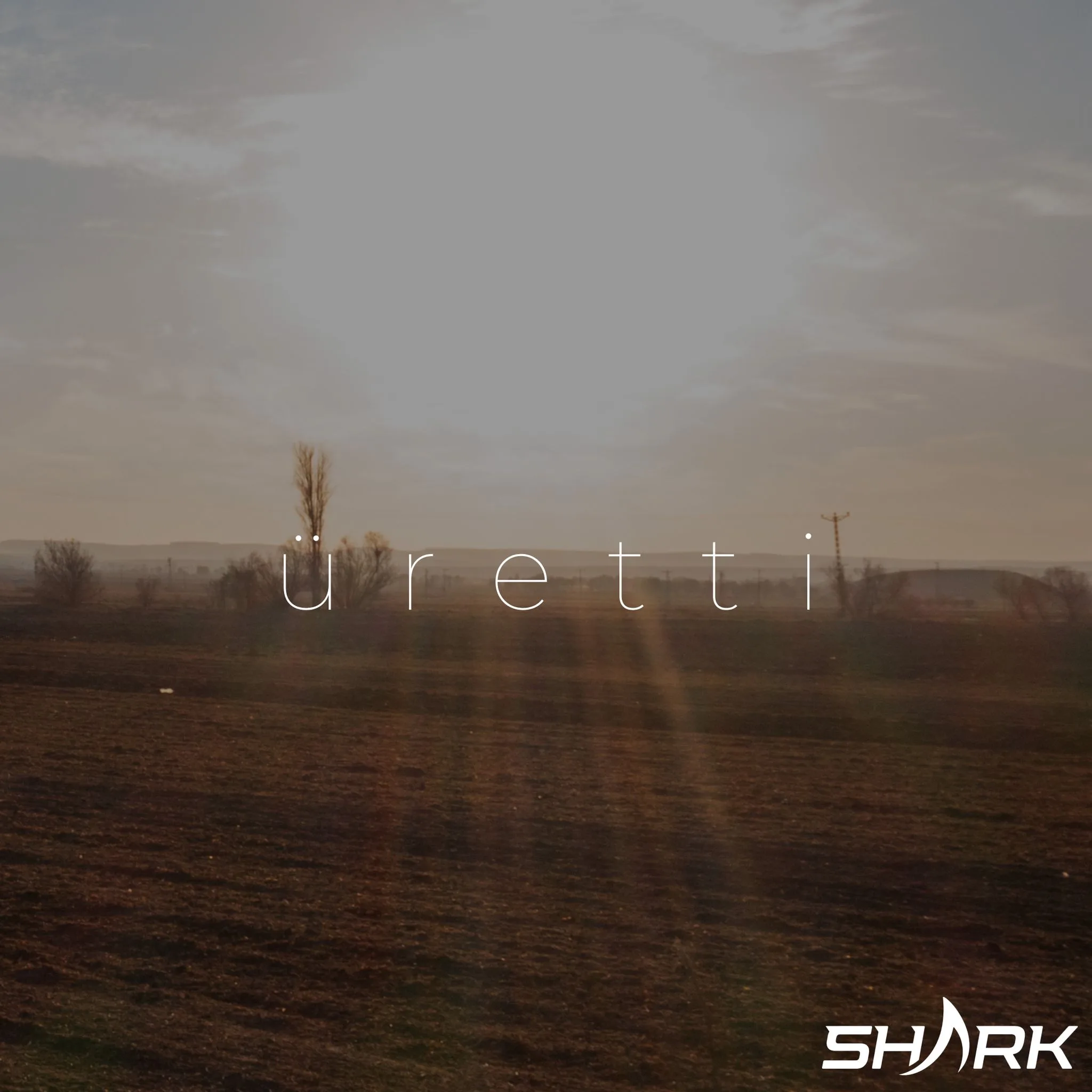 Anasayfa Shark Aviation lazy